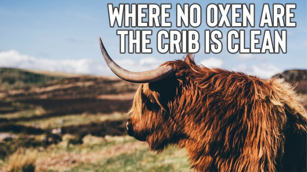 Where No Oxen are the Crib is Clean | Pastor Roger Jimenez