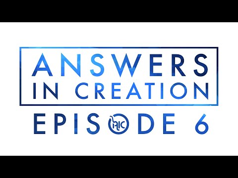 "The Basics of Creation" Feat. Kent Hovind II AIC (Episode 6)