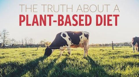 The Truth About a Plant-Based Diet - Pastor Bruce Mejia