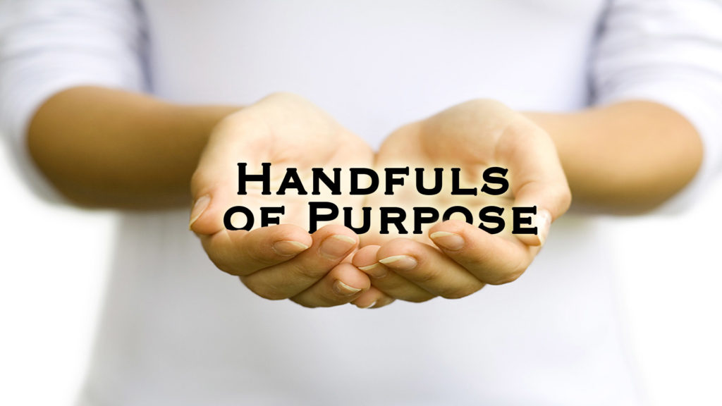 Handfuls of Purpose | Steven Anderson Preaching