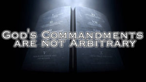 God's Commandments are not Arbitrary | Preached by Pastor Steven Anderson
