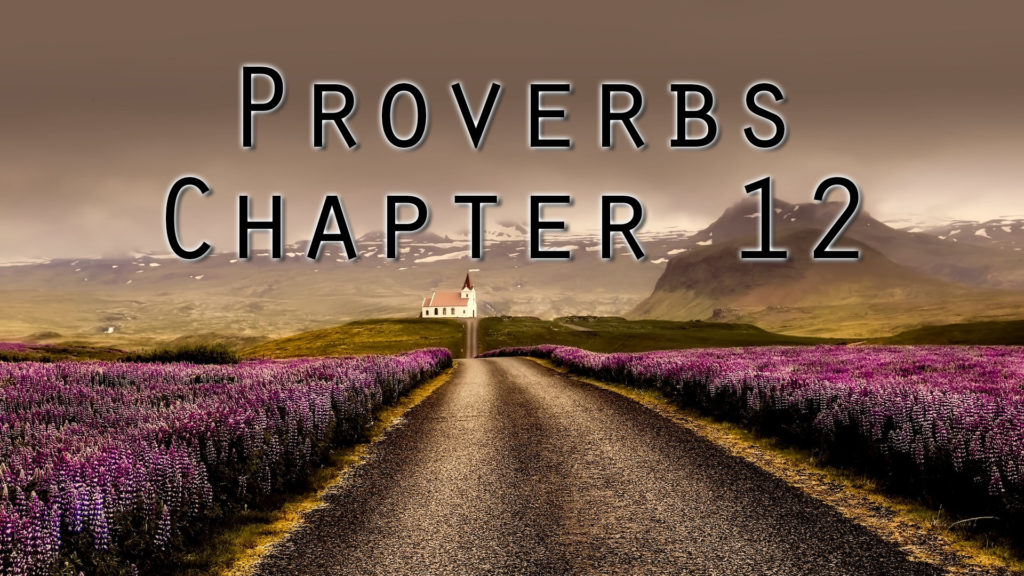 Proverbs Chapter 12 | Pastor Anderson